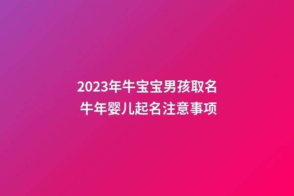 2023年牛宝宝男孩取名 牛年婴儿起名注意事项